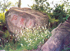 龐涓上馬石 龐涓上馬石