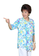 外來媳婦本地郎(2000年廣東廣播電視台電視系列情景劇)