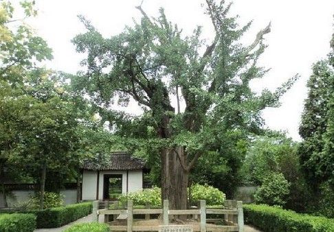 天馬山(上海市天馬山) 天馬山(上海市天馬山)