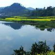 朝陽湖