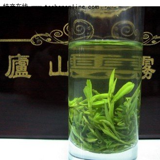 廬山雲霧茶 廬山雲霧茶