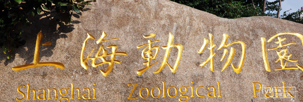 上海動物園 上海動物園