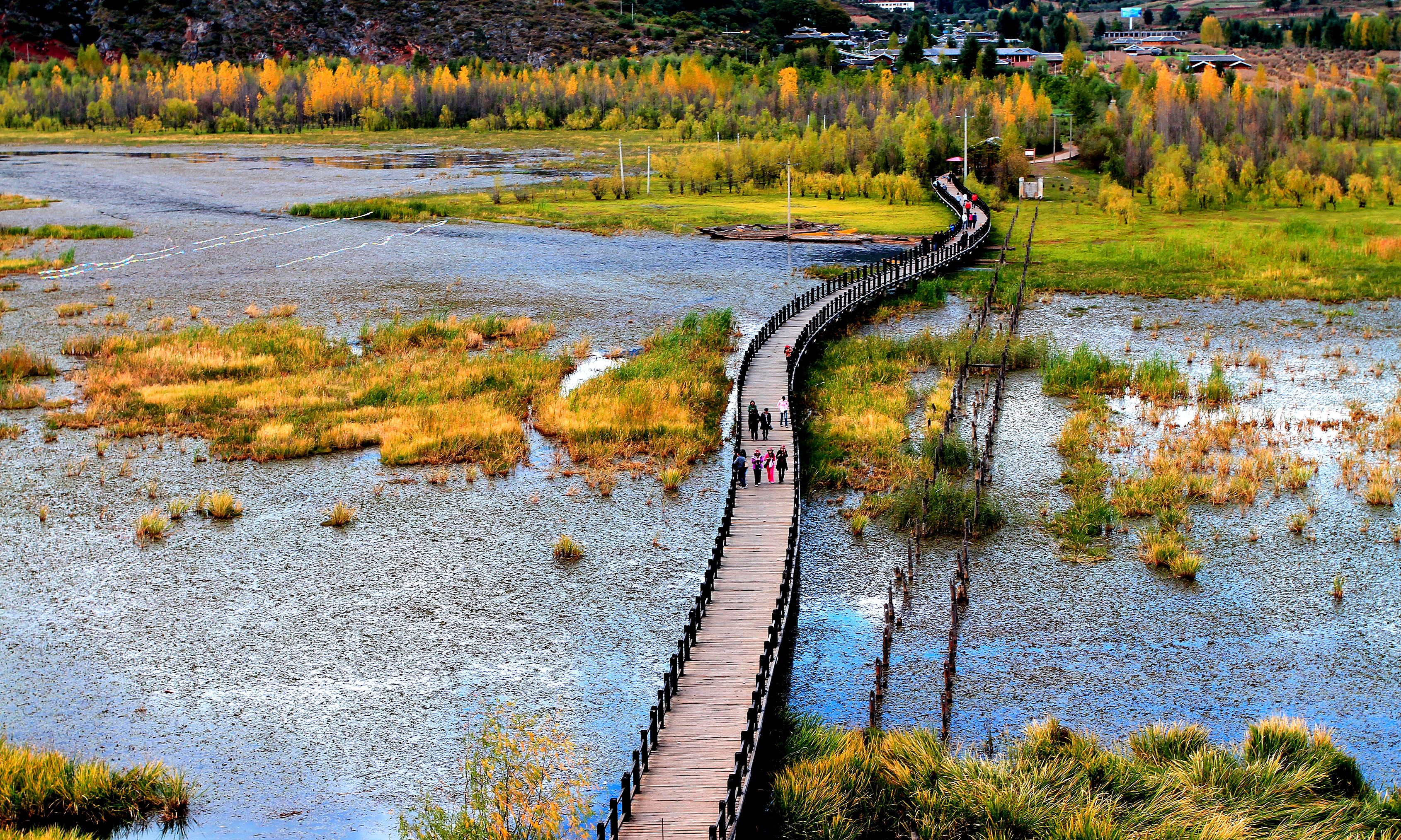 走婚橋 走婚橋