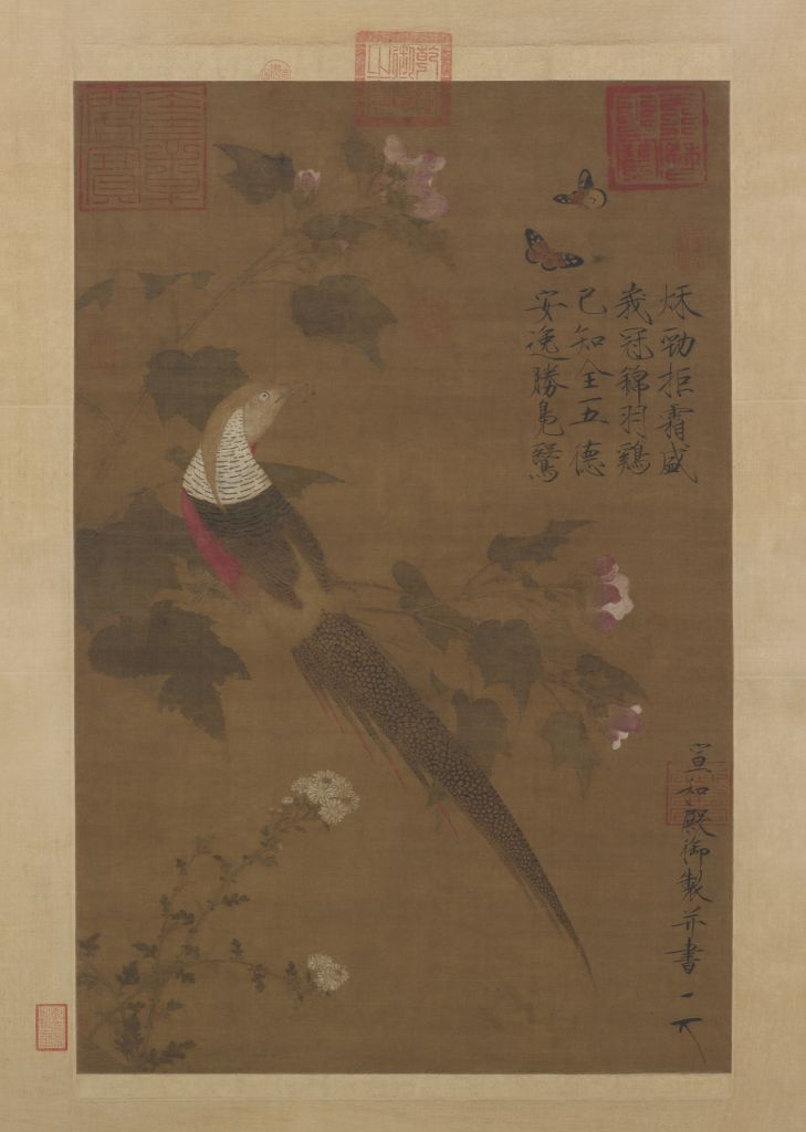 芙蓉錦雞圖