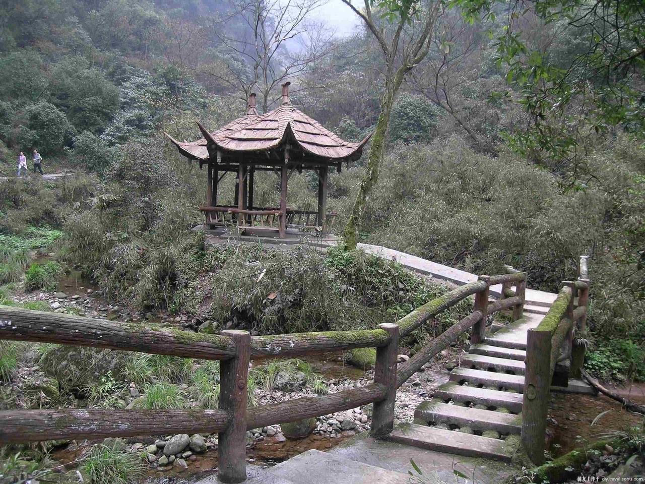青城山山道 青城山山道
