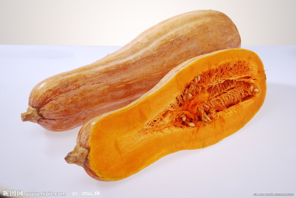 南瓜(堇菜目葫蘆科植物) 南瓜(堇菜目葫蘆科植物)