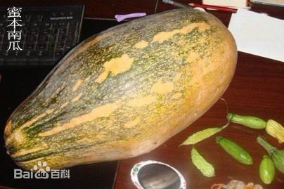 新疆出產的南瓜 新疆出產的南瓜