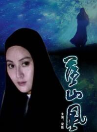 劉新(中國內地男導演)