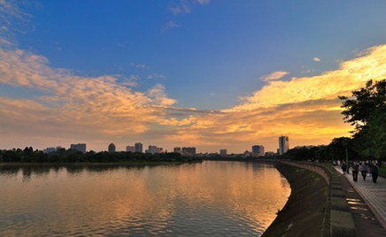 東坡區 東坡區