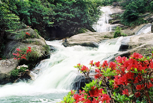懷玉山風景 懷玉山風景