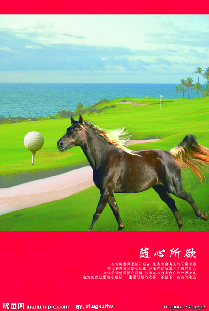 隨心所欲 隨心所欲