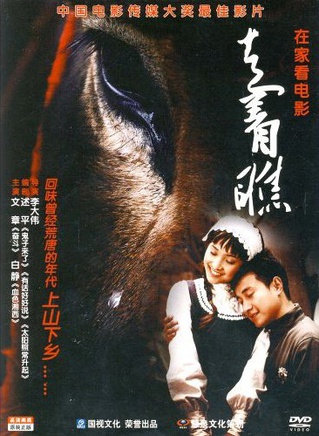 黃磊(中國內地男演員、教師)