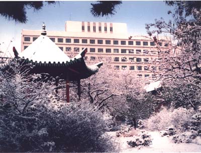 中國醫科大學舊校園冬景 中國醫科大學舊校園冬景