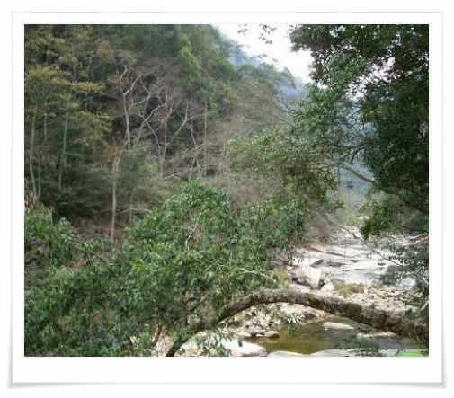 武夷山脈 武夷山脈