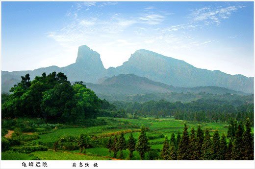 遠眺龜峰 遠眺龜峰
