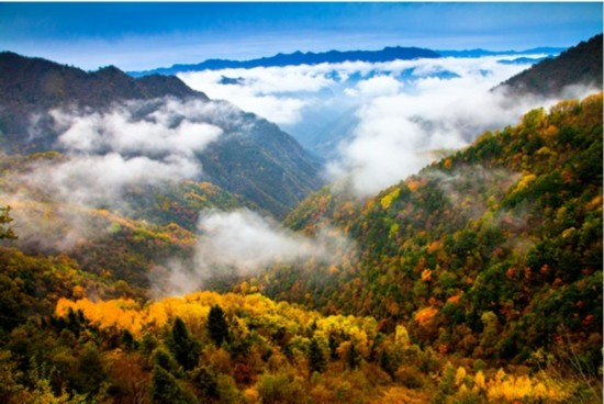 大巴山秋色 大巴山秋色