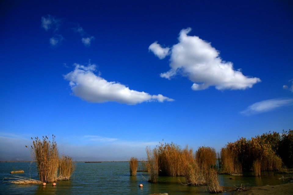 當年西夏境內的沙湖 當年西夏境內的沙湖
