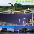 高州(廣東省轄縣級市)