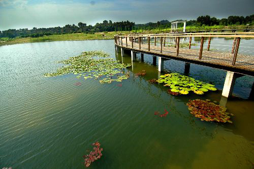 西沙濕地公園 西沙濕地公園