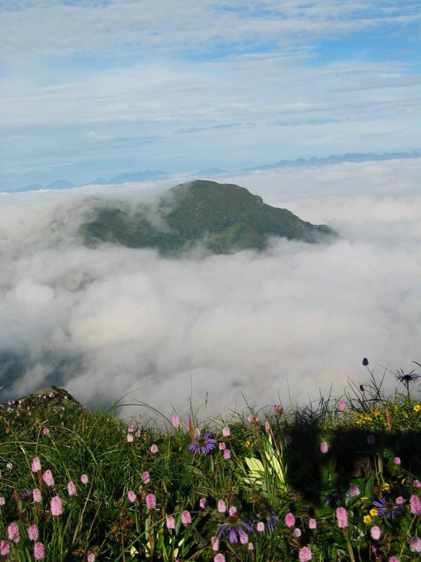 馬鞍山美景 馬鞍山美景