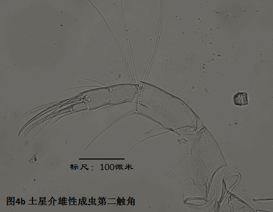 圖4b 圖4b