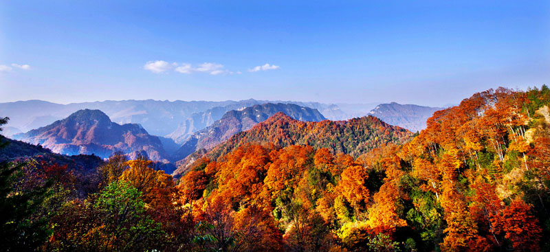 光霧山國家aaaa級旅遊景區 光霧山國家aaaa級旅遊景區