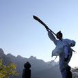 武術(中國武術)