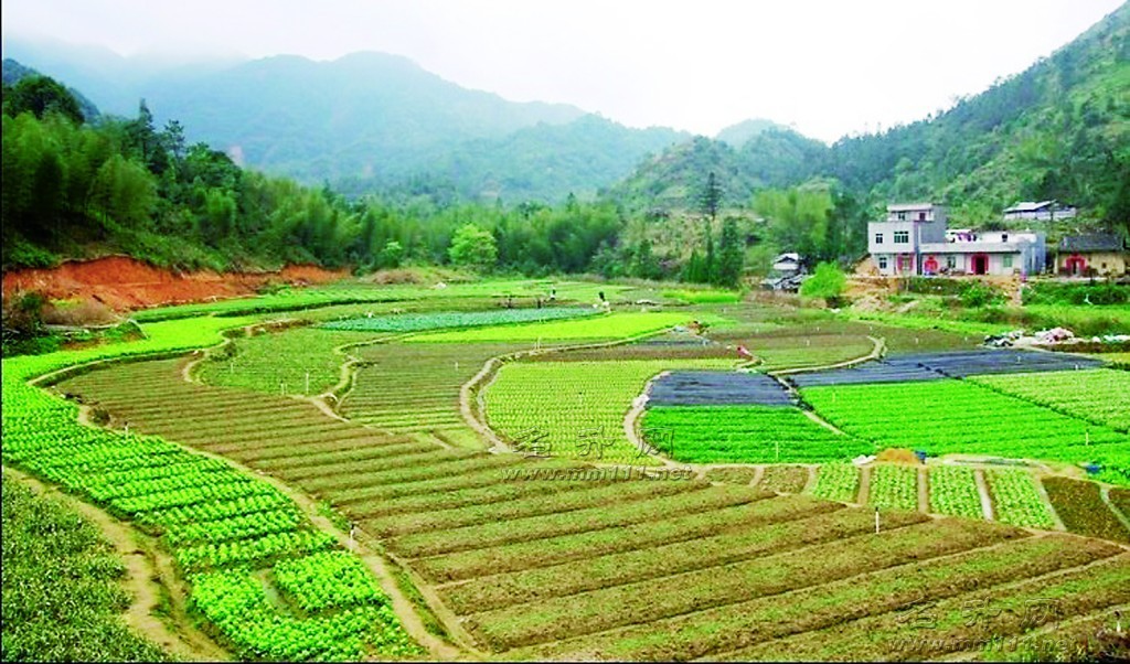 錢排鎮 錢排鎮