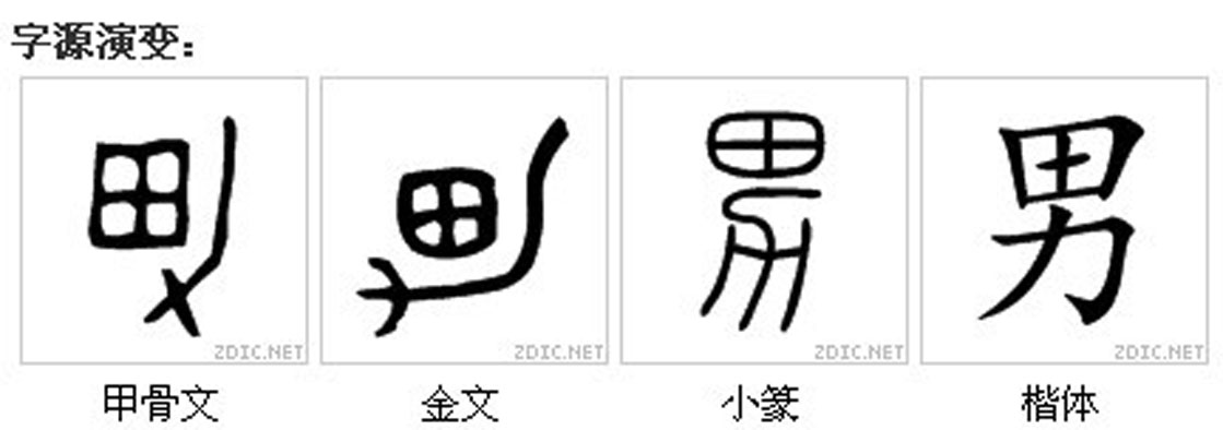 字源演變 字源演變