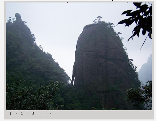 神龍戲松