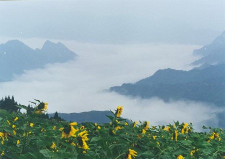 石門銀峰 石門銀峰