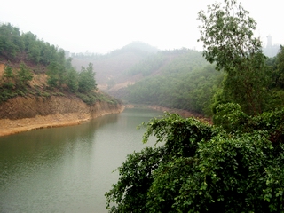 林業 林業