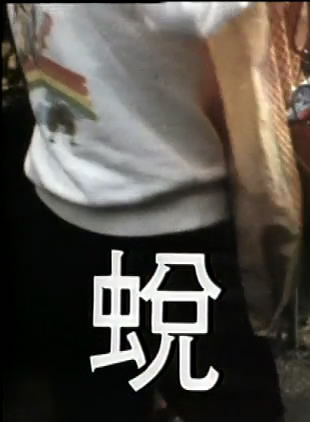 陳玉蓮(香港影視女演員)
