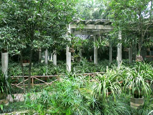 蘭草園 蘭草園