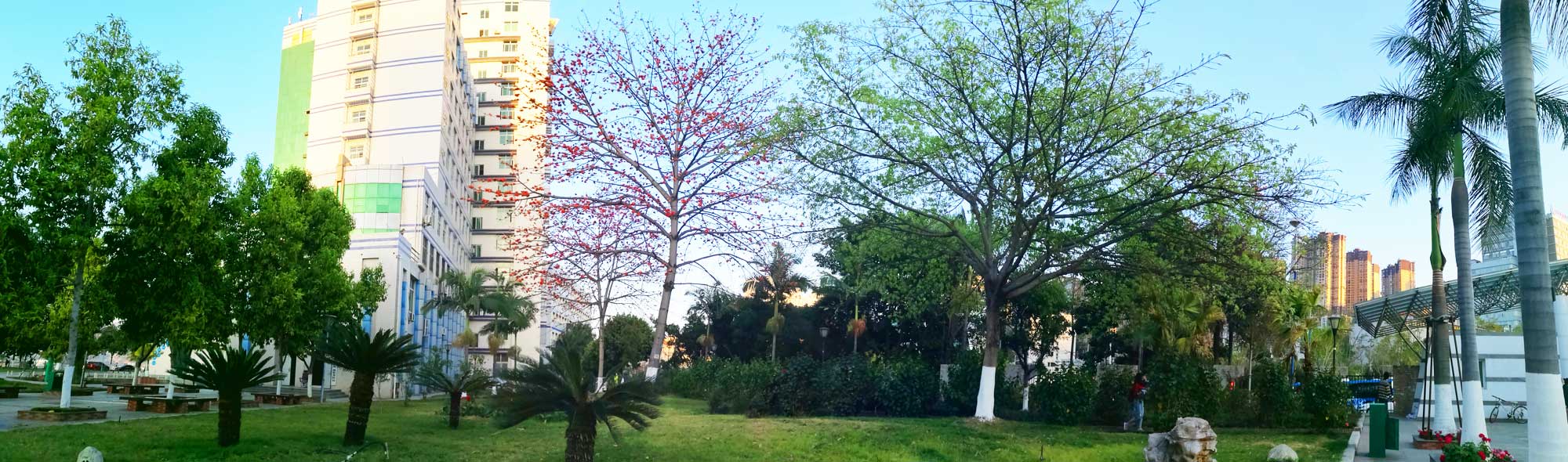 學校建築 學校建築