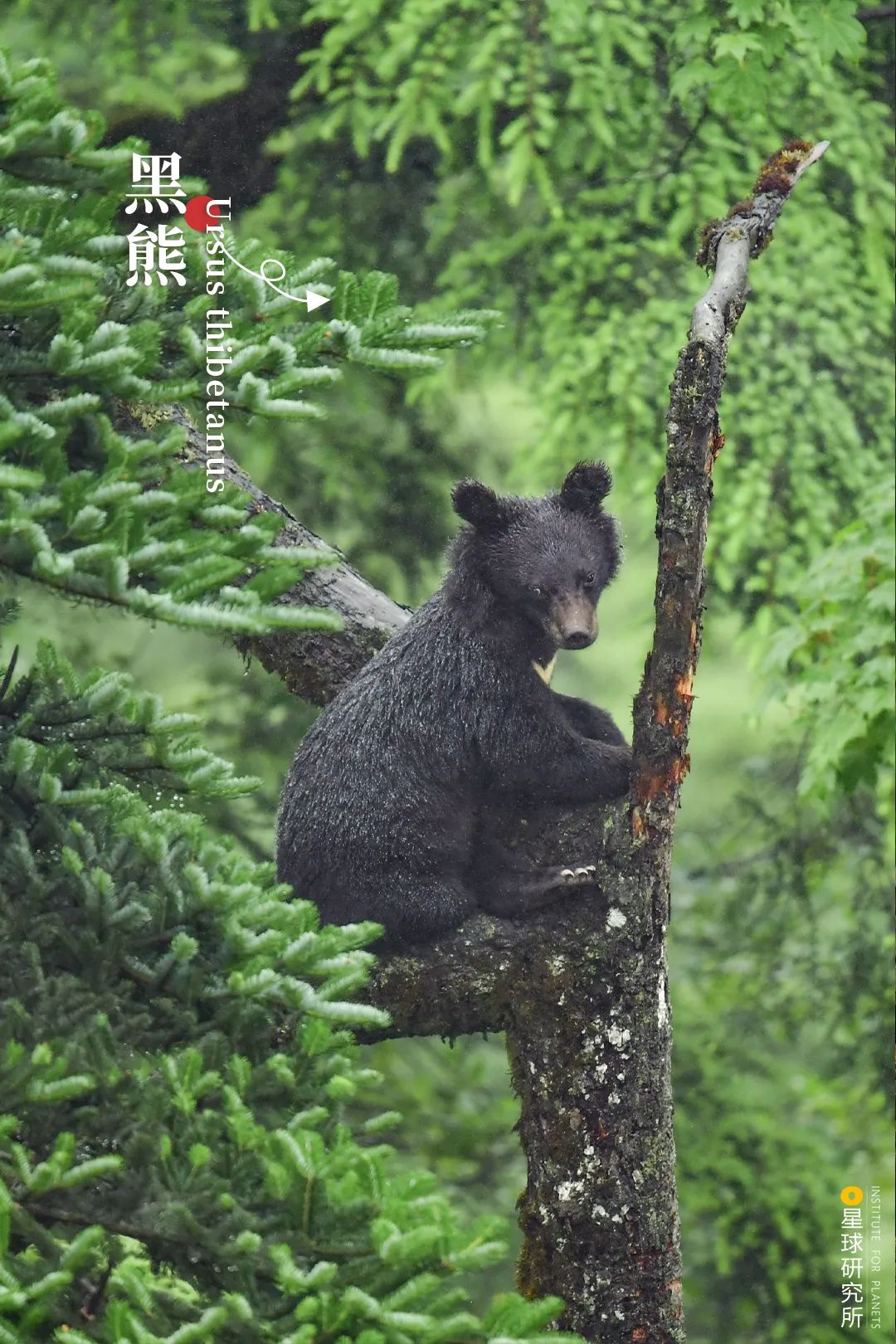四川滎經：雲上仙城！