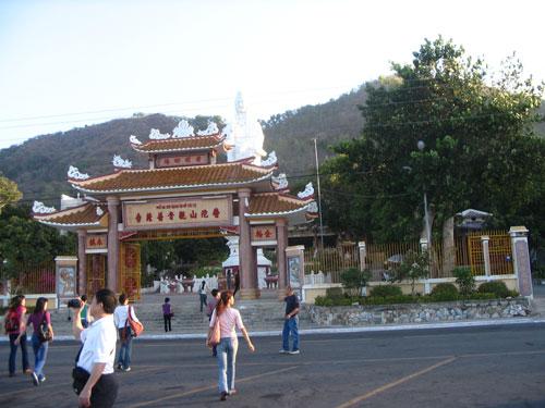 頭頓