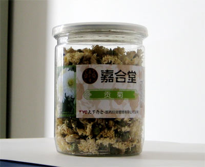 貢菊茶 貢菊茶