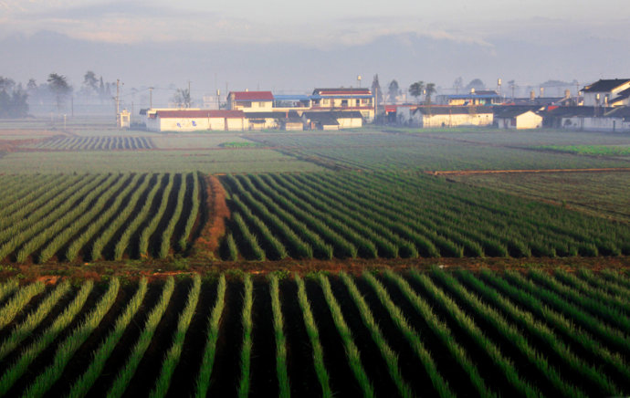 成都平原(農村) 成都平原(農村)
