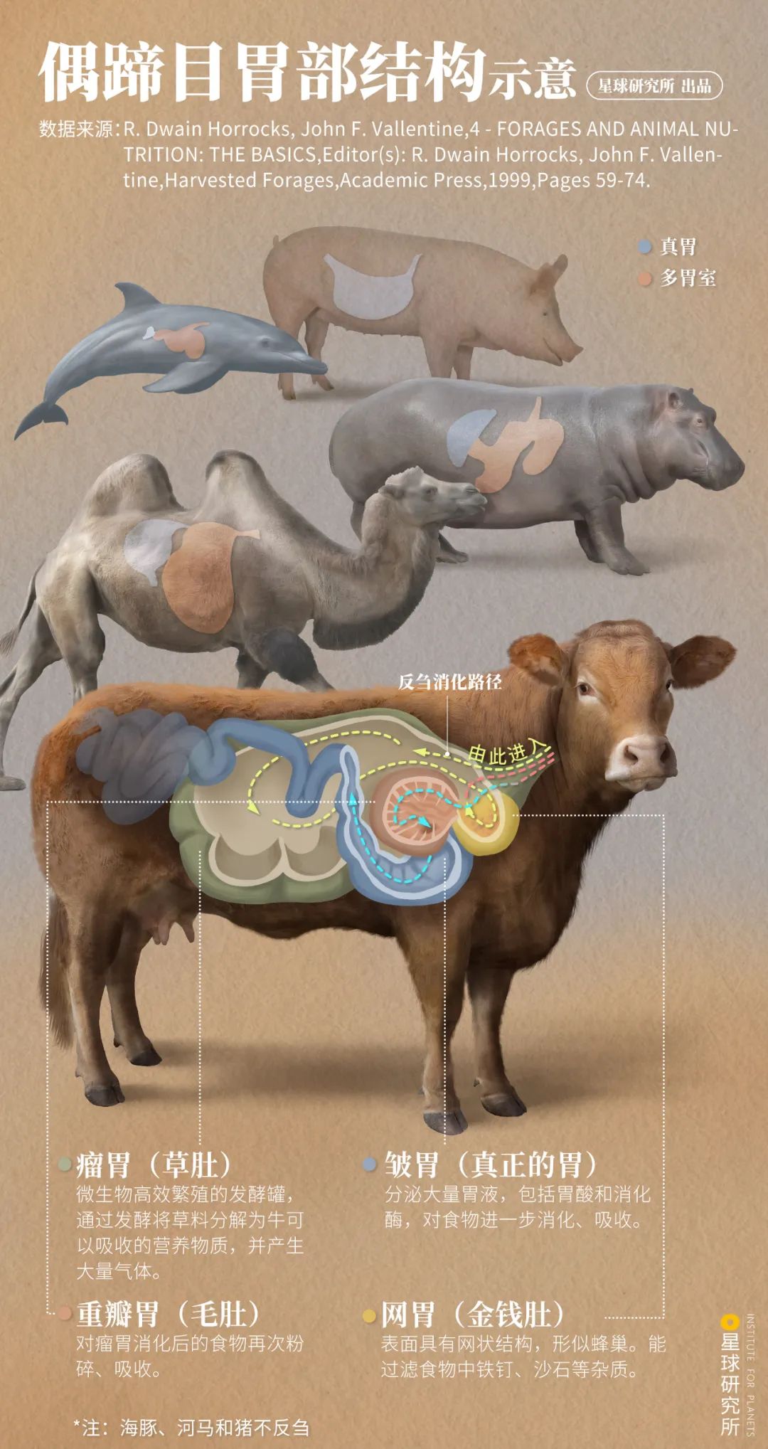 看！中國最壯麗的動物奇觀
