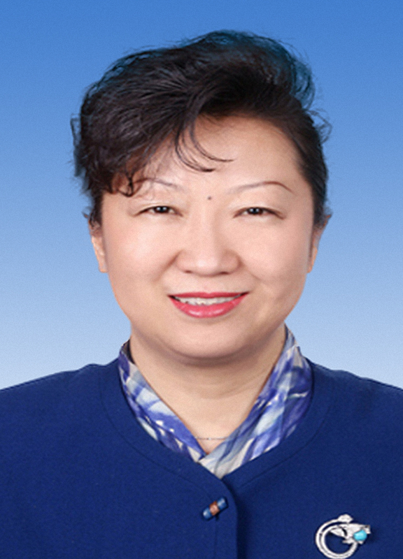 田文(新疆維吾爾自治區黨委常委、宣傳部部長)
