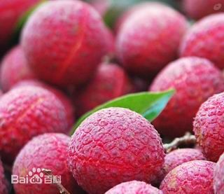 玉林荔枝狗肉節 玉林荔枝狗肉節
