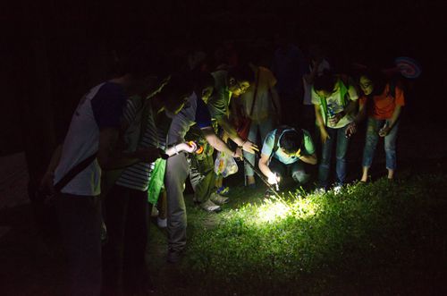 2014年上海植物園“暗訪夜精靈”活動 2014年上海植物園“暗訪夜精靈”活動