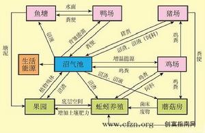 物質循環利用示意圖 物質循環利用示意圖