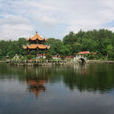 江西三爪侖國家森林公園