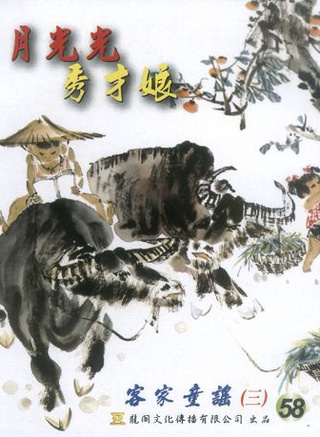 謝娜(中國內地主持人)