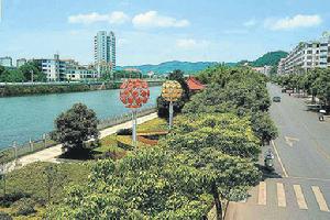 秀江街道實景 秀江街道實景