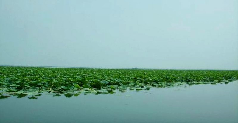 益陽市境內的大通湖 益陽市境內的大通湖