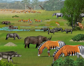 動物群 動物群