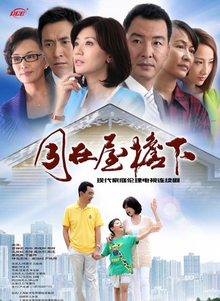 高洋(中國內地女演員)